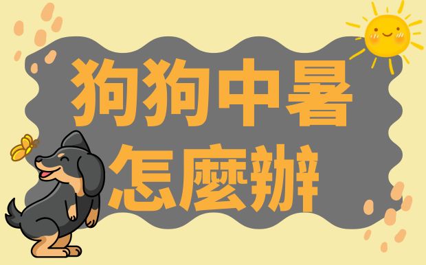狗狗中暑怎麼辦：症狀、原因、急救方法與降溫禮品推薦