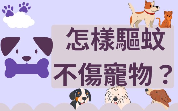 毛孩安心抗基孔肯雅熱！怎樣驅蚊不傷寵物？這些成分千萬記住不能碰！