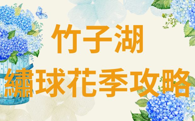 2025 竹子湖繡球花季：客製化禮品，讓五彩花海的回憶更動人！