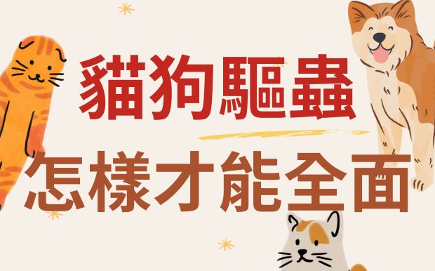 貓狗驅蟲怎樣才能全面？從體內到體外守護毛孩健康
