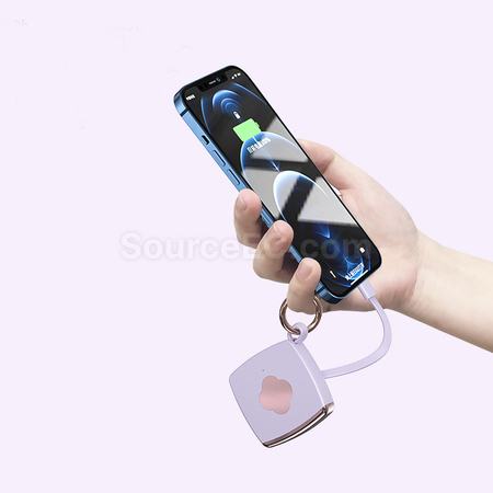 客製化迷你應急行動電源禮品