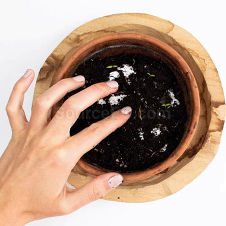 客製化種子紙獎牌禮品