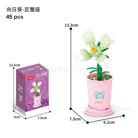 客製化咖啡杯植物系列積木-12星座守護花系列禮品