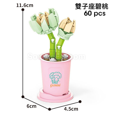 客製化咖啡杯植物系列積木-12星座多肉植物系列禮品