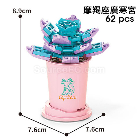 客製化咖啡杯植物系列積木-12星座多肉植物系列禮品