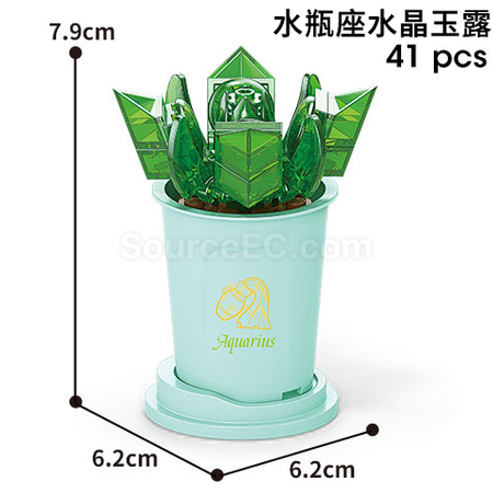客製化咖啡杯植物系列積木-12星座多肉植物系列禮品