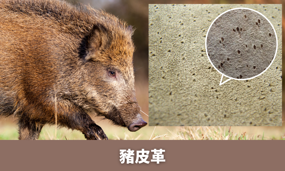 豬皮革