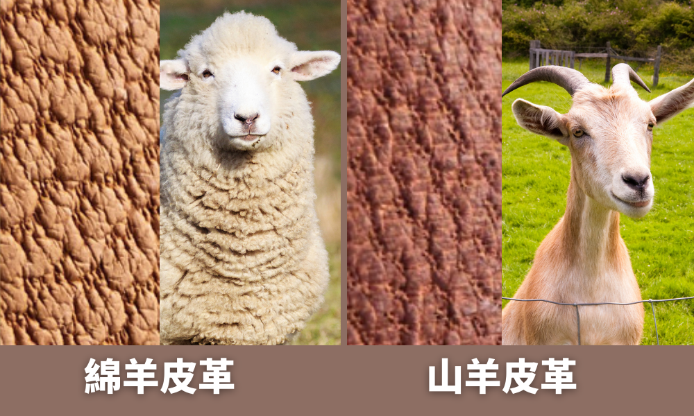 羊皮革