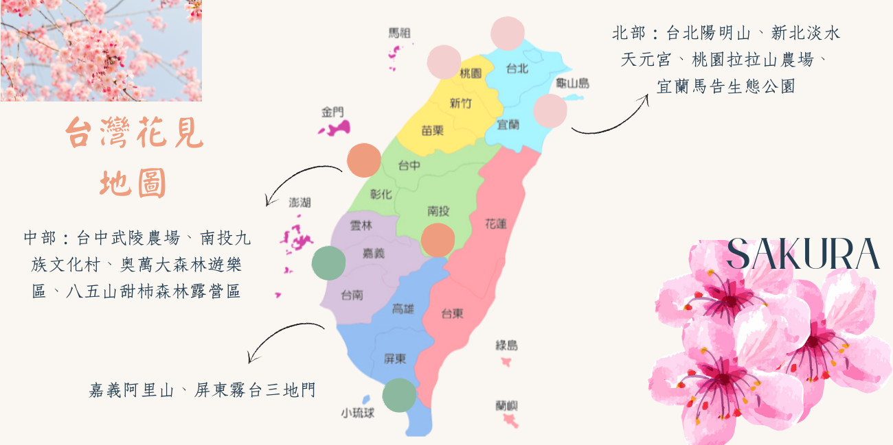 賞櫻必備