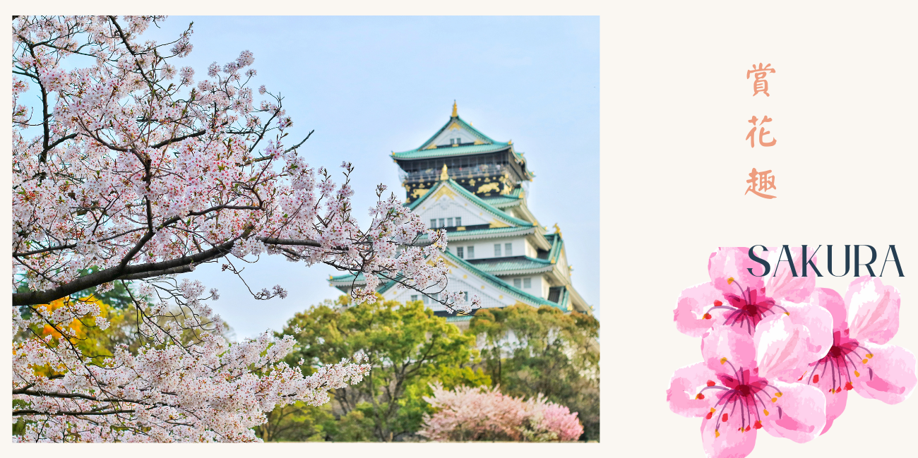 sakura_3
