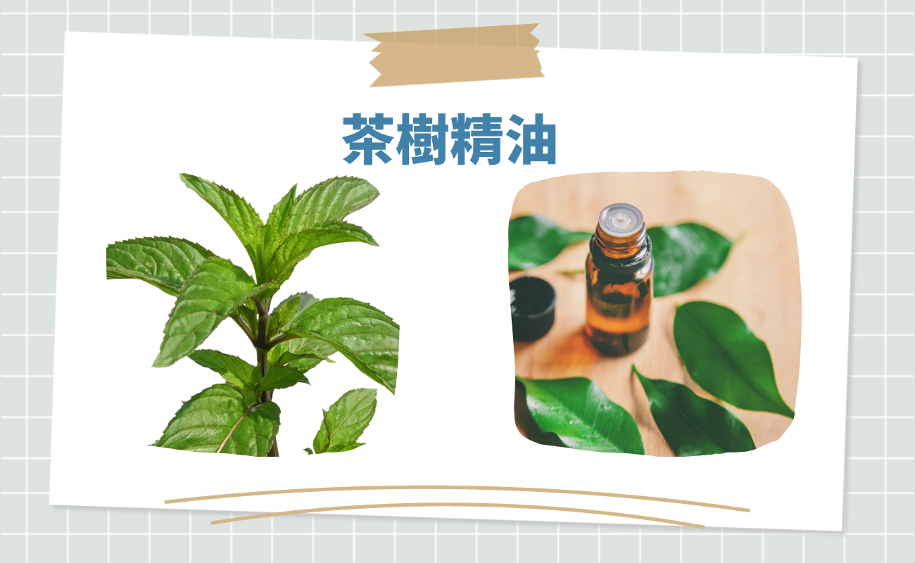 抗菌精油