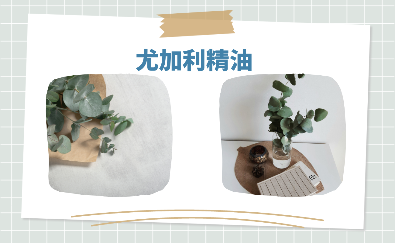 抗菌精油