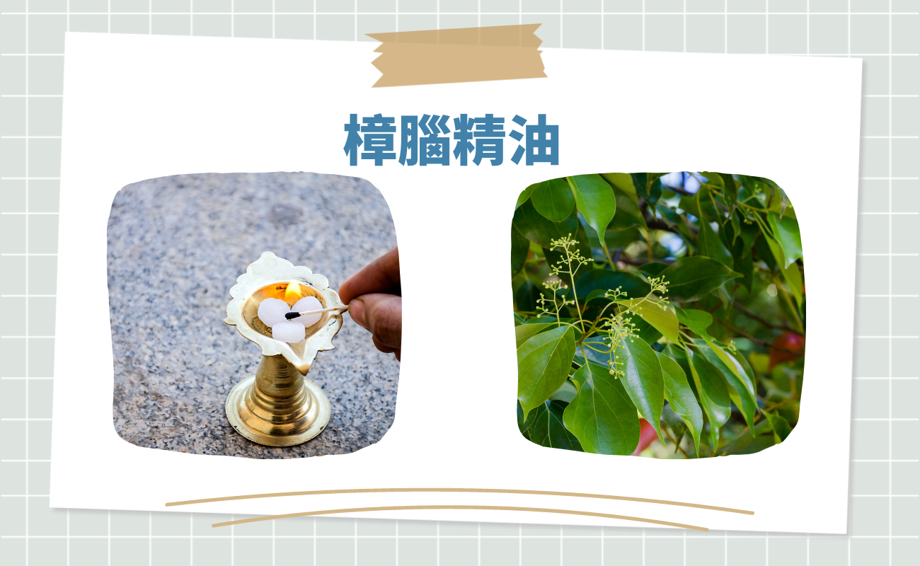 抗菌精油