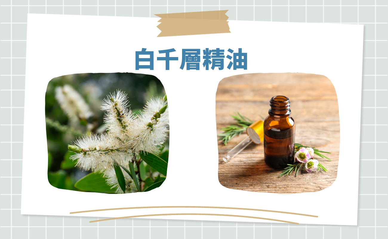抗菌精油