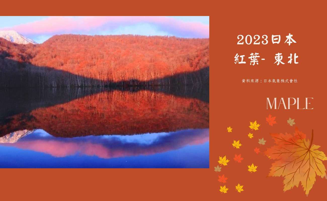 2023日本賞楓季