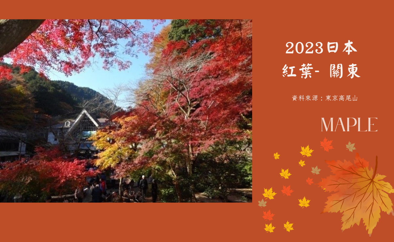 2023日本賞楓季
