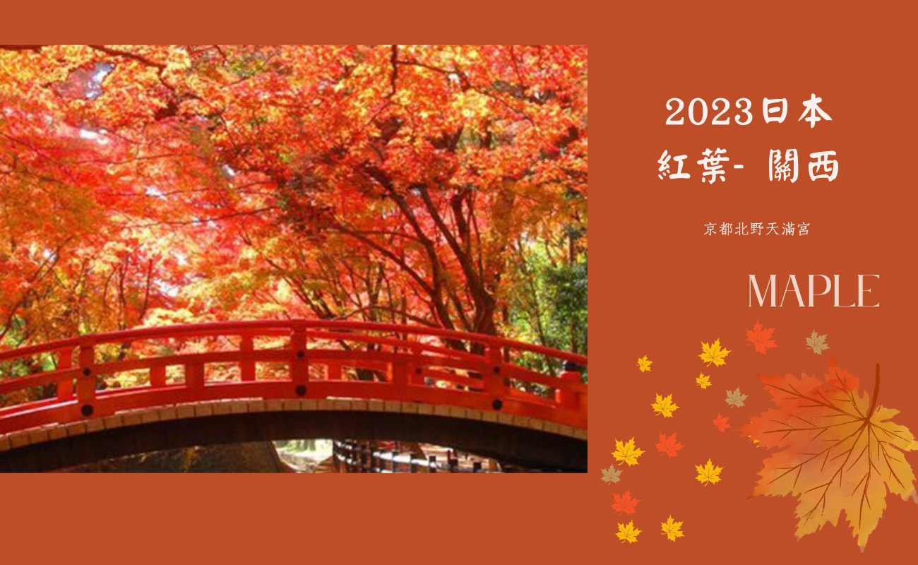 2023日本賞楓季