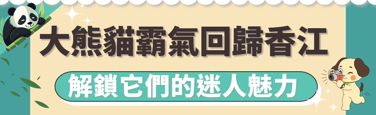 熊貓魅力