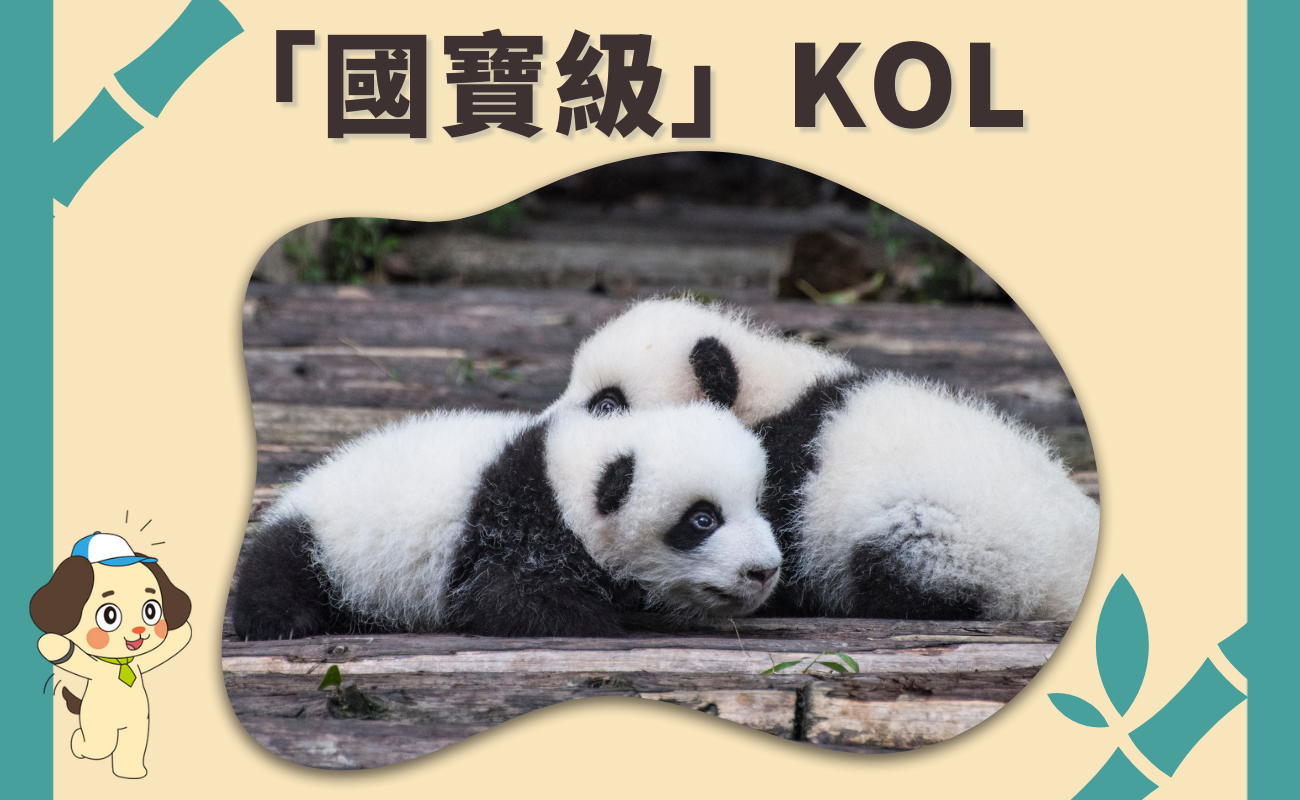熊貓魅力