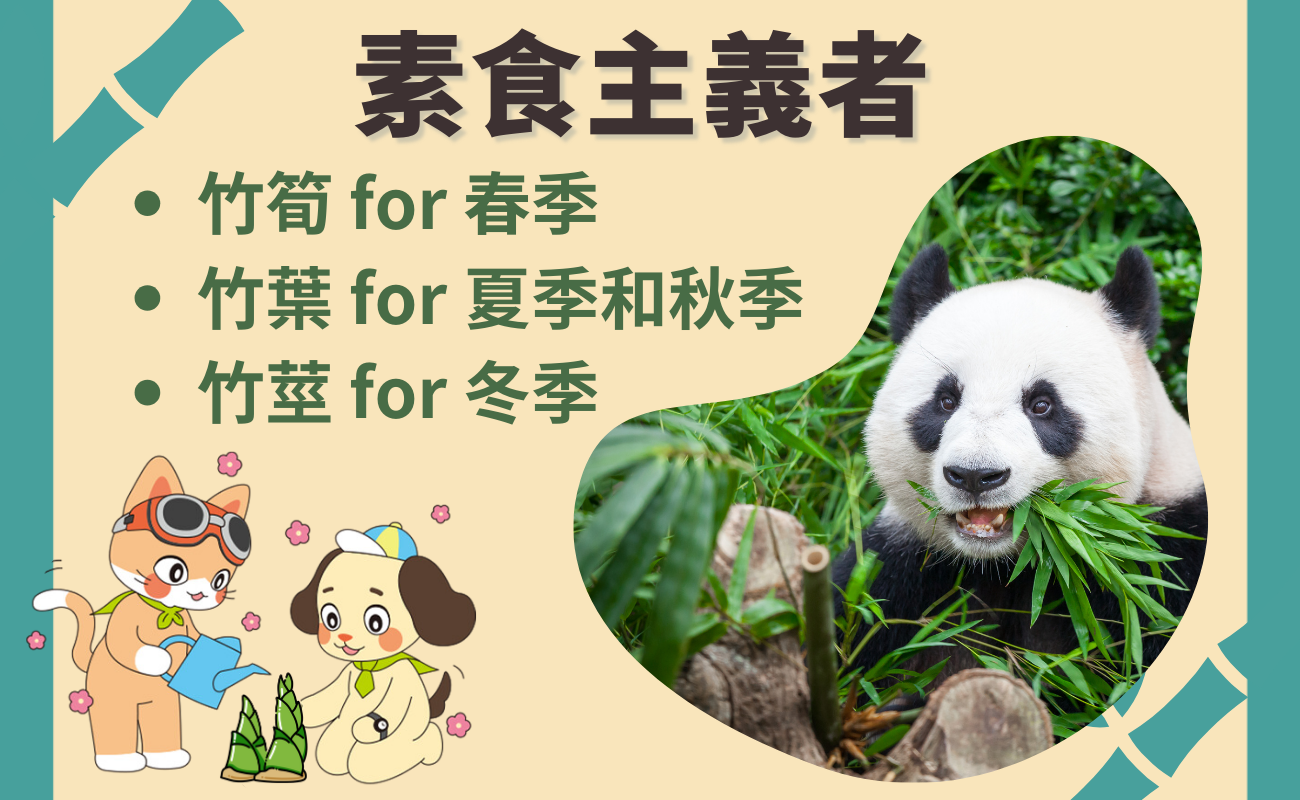 熊貓魅力