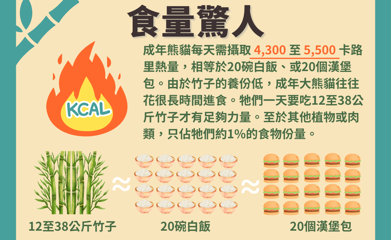 熊貓魅力
