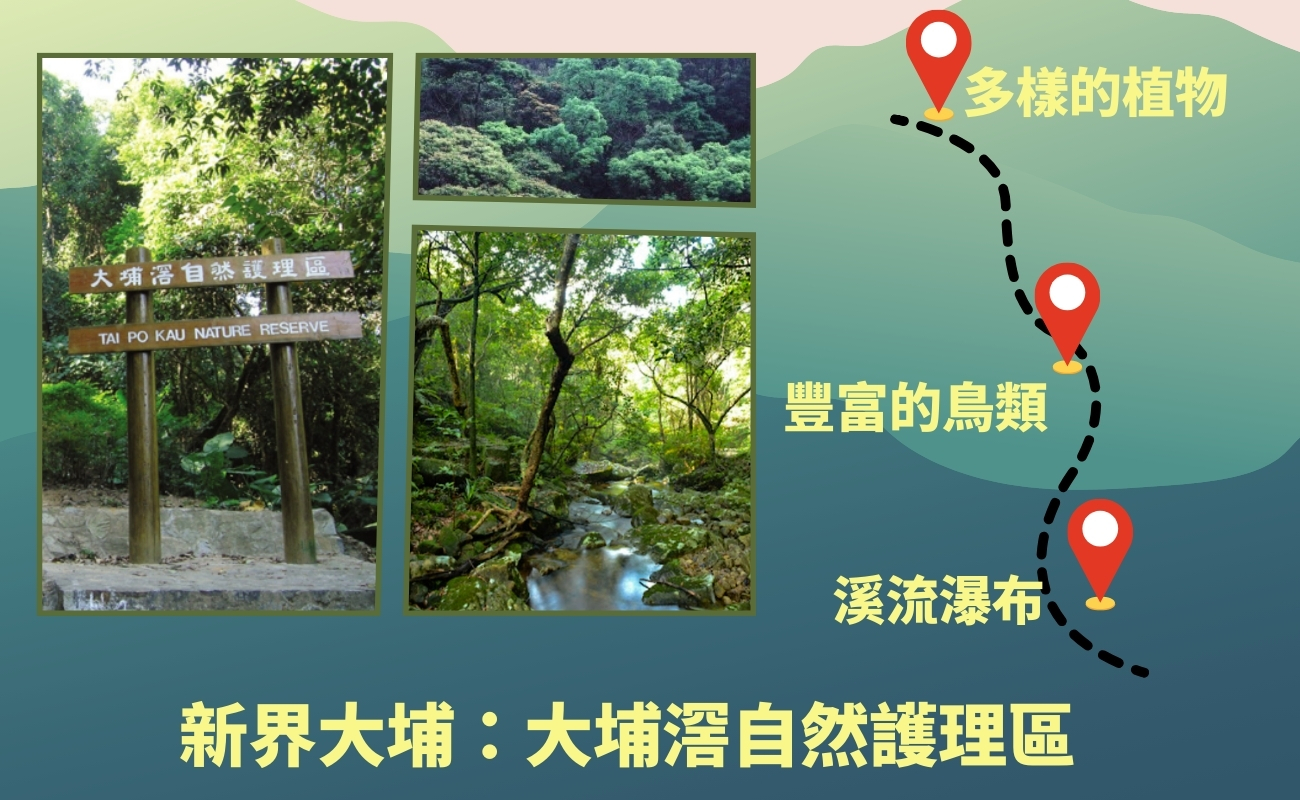 香港爬山, 新手路線, 運動禮品, 登山用品, 客製化禮品