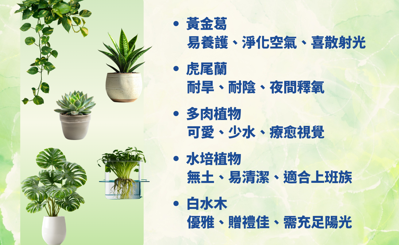 仿真植物, 客製化盆栽, 辦公室綠植, 療癒禮品, 綠植盆栽