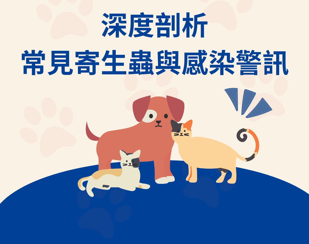 貓狗驅蟲禁忌