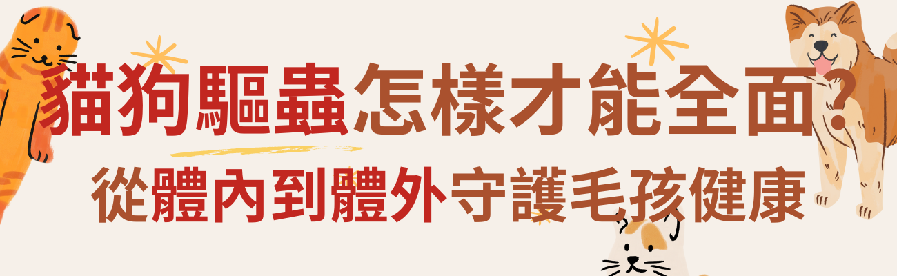 貓狗驅蟲禁忌