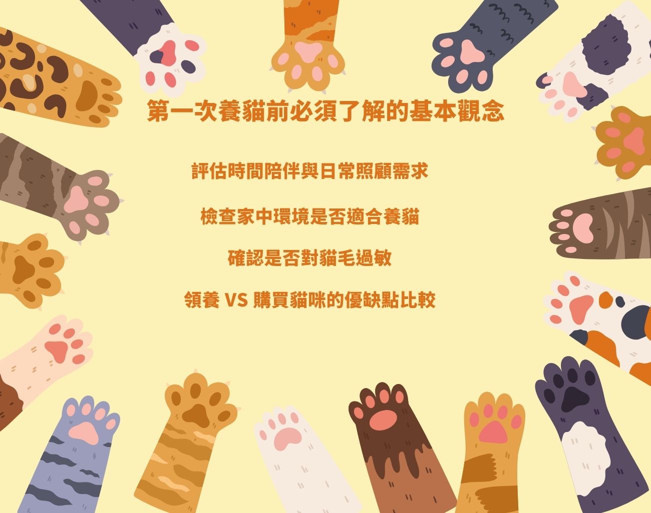 第一次養貓