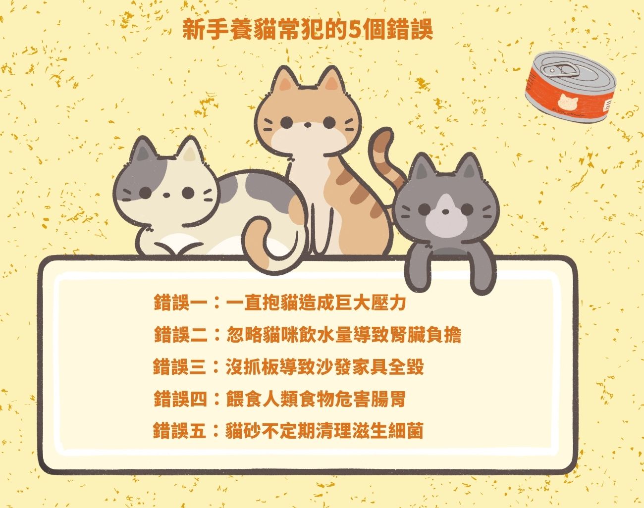 第一次養貓