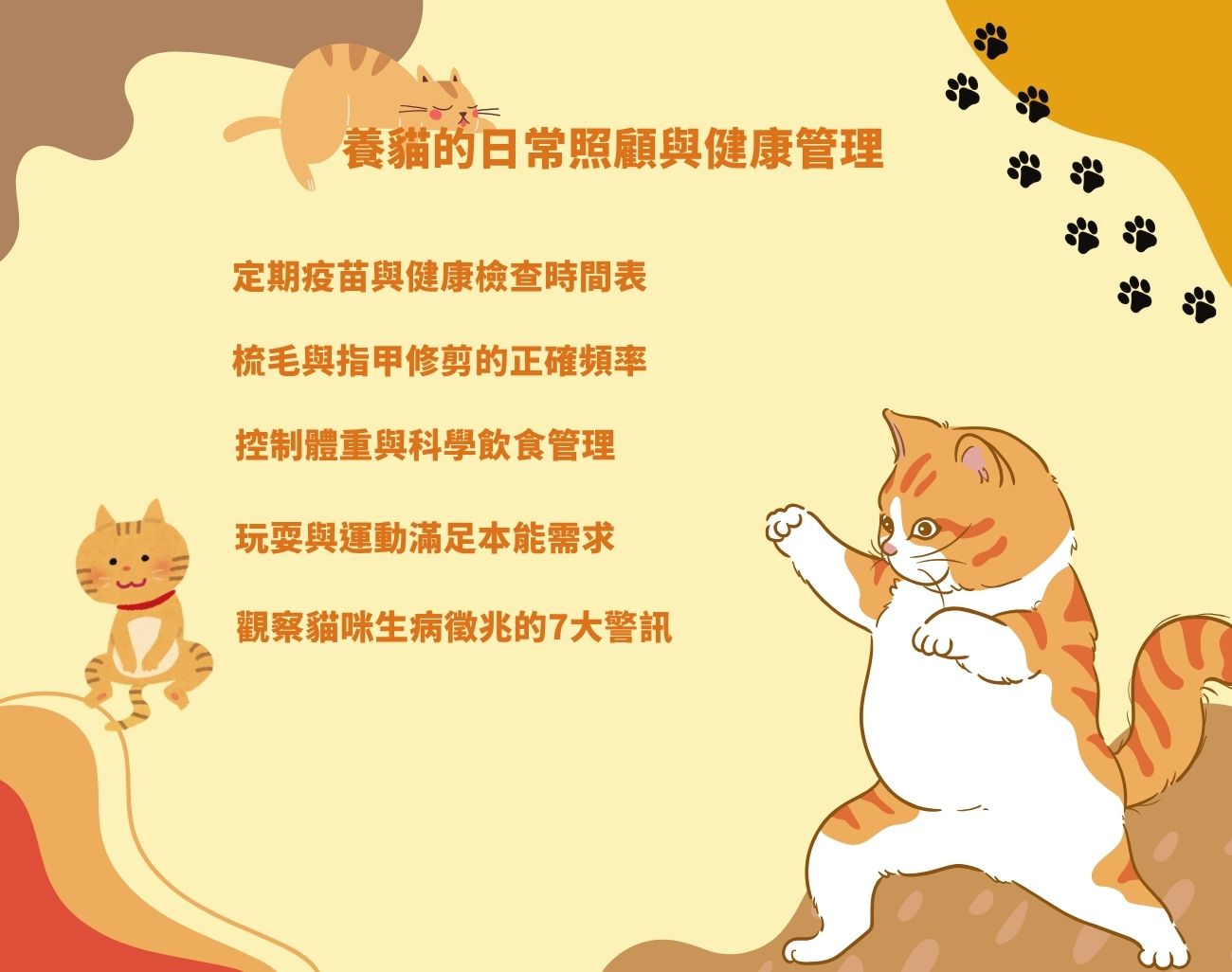 第一次養貓