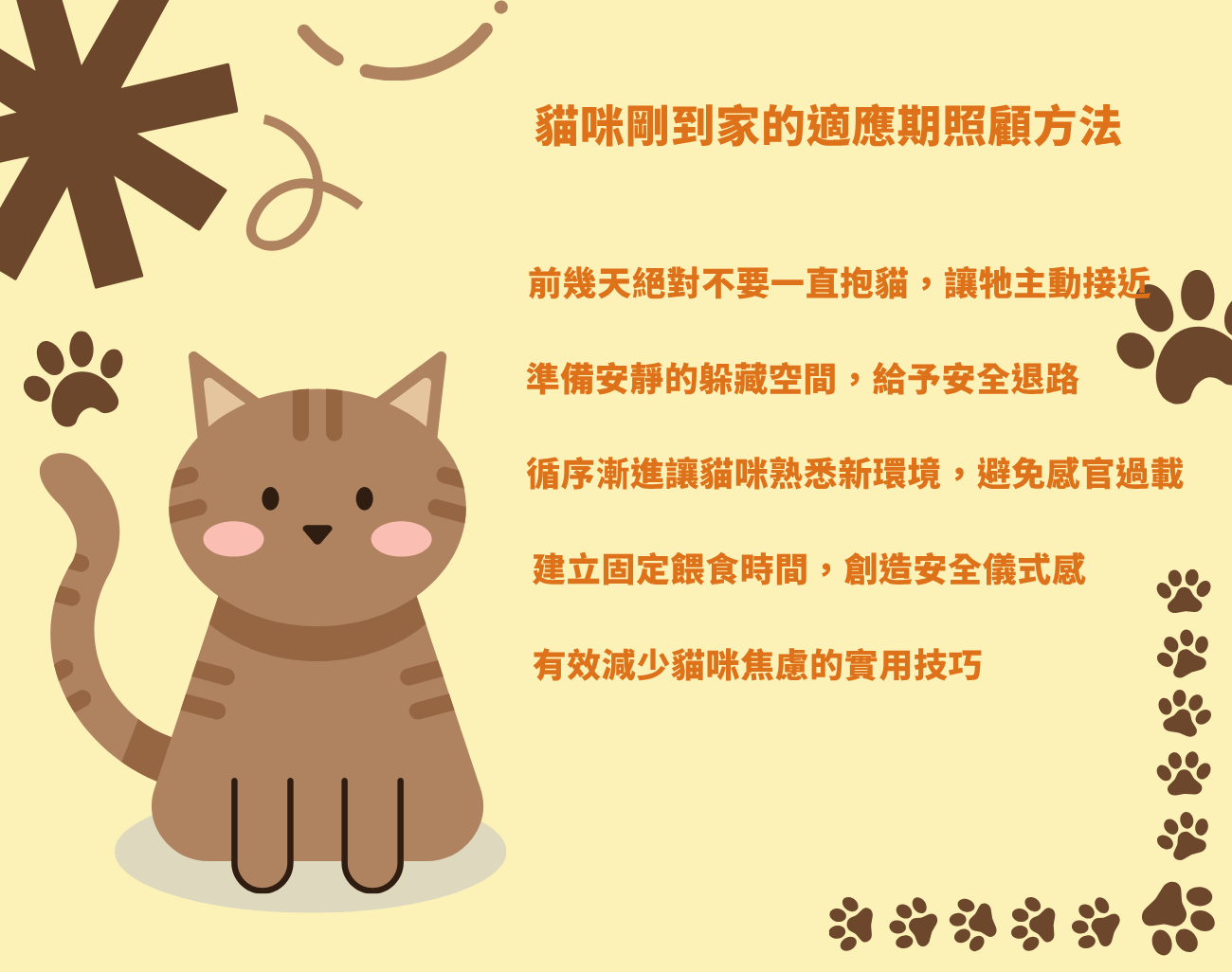 第一次養貓