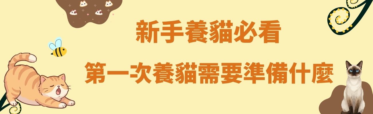 第一次養貓