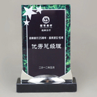 亞加力獎牌